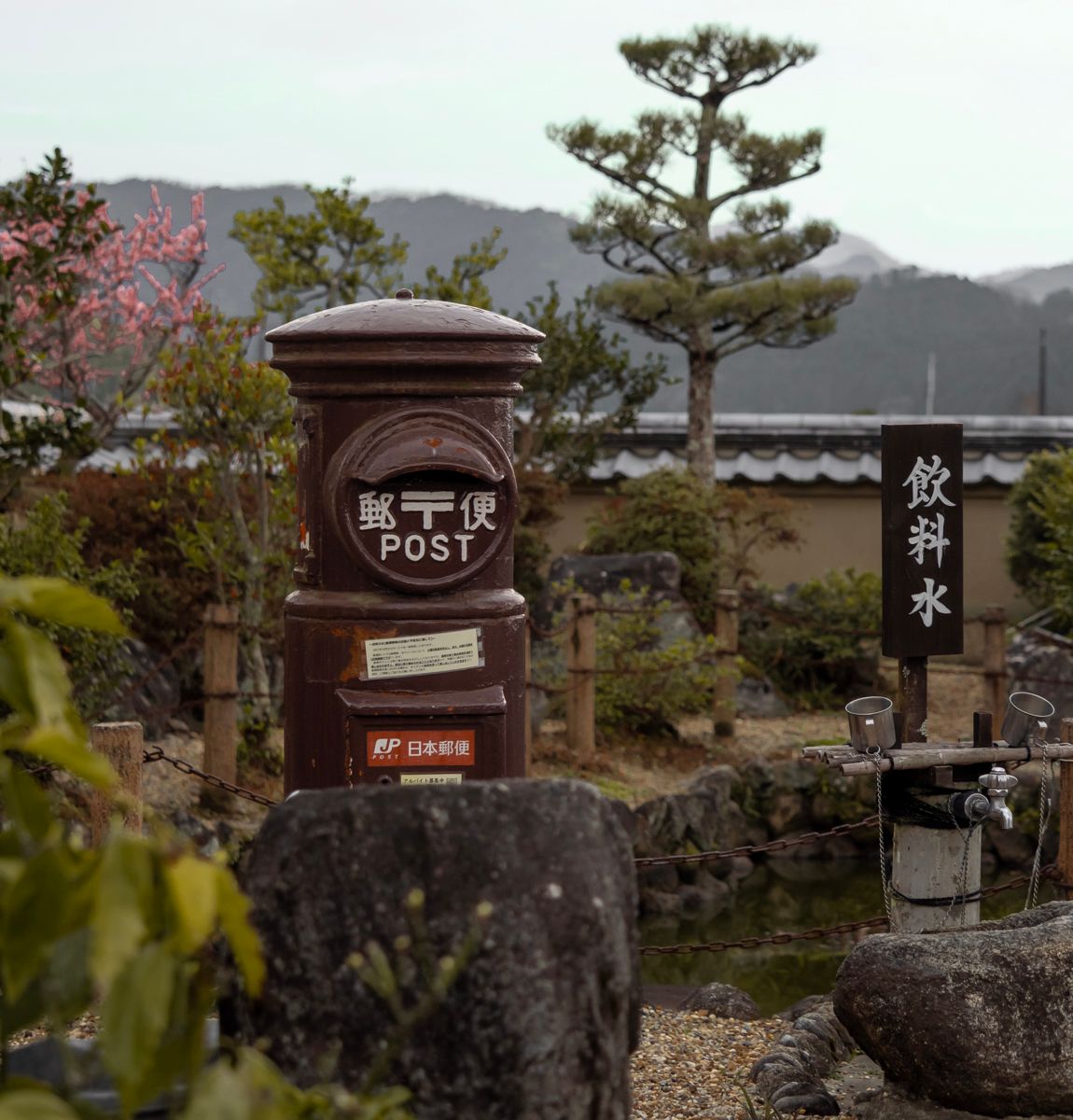 Cycling tour in Asuka