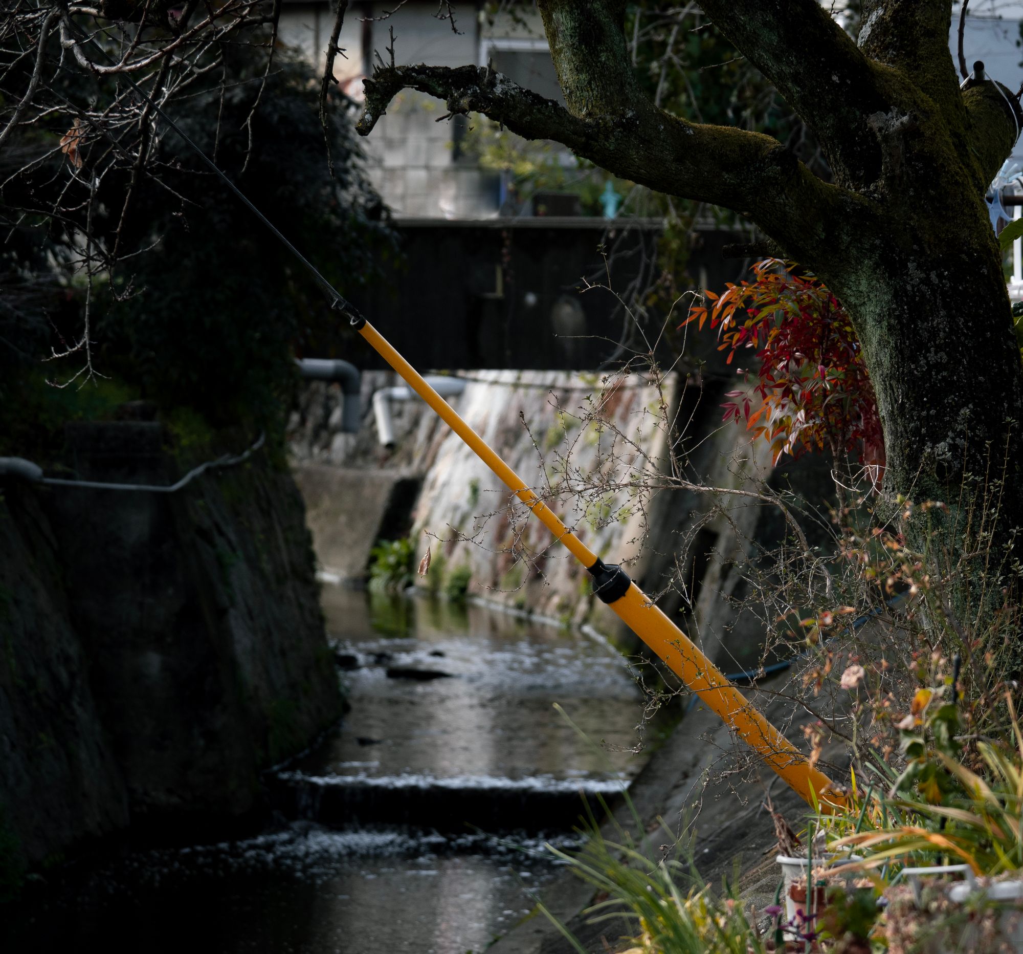 An afternoon cycling around Kashiba